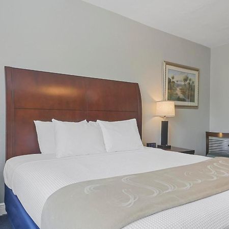 Crystal Bay Historic Hotel 세인트피터즈버그 외부 사진